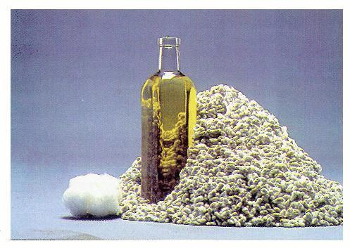 Cotton seed oil