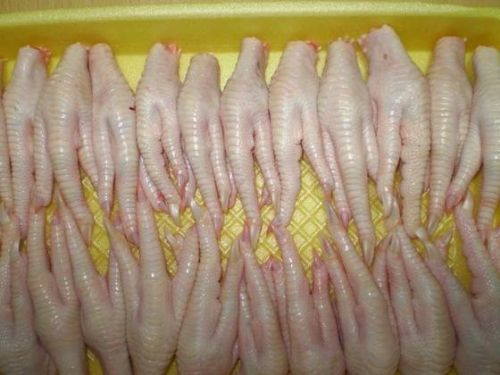Freshly Frozen Chicken Feet