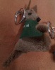 Plush Kangaroo Toy Keychain