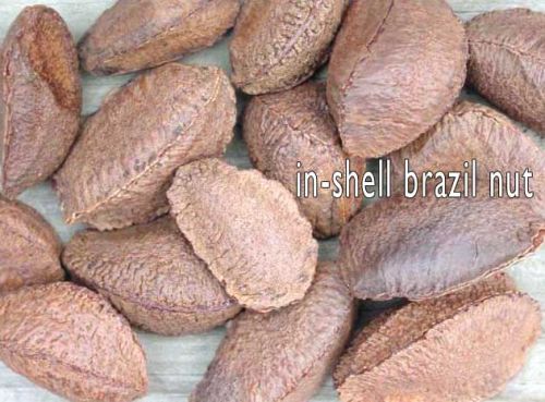 Urdan Inshell Brazil Nuts