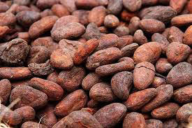 Cocoa beans Form : Beans