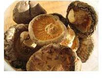 Dried mushroom