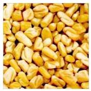 Fenugreek Seeds
