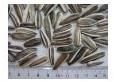 Grey Sunflower Seed