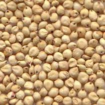 Organic Sorghum Seeds, For Cooking, Style : Dried