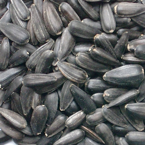 Sunflower Seeds