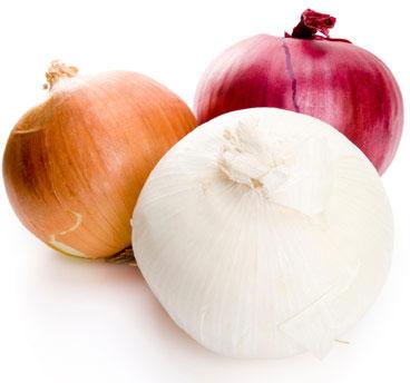 Onions, Packaging Type : Red & White