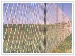 Wire Mesh