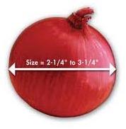 Red onion, Style : Natural