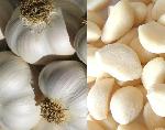 Garlic, Number Of Flower : Vegetable