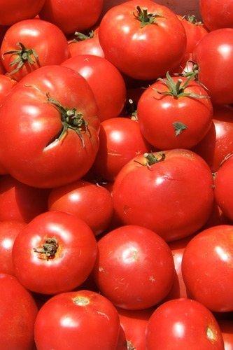 Tomatoes, Type : Vegetable