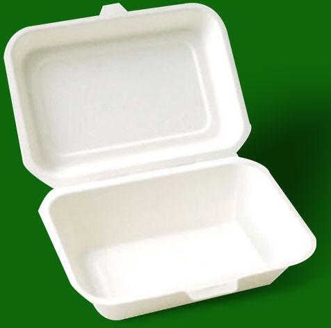 600ml Compostable Eco Friendly Bagasse Food Container