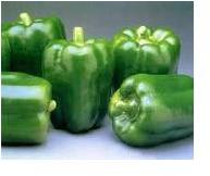 Capsicum, Color : Green Color