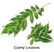 Fresh Curry Leaves