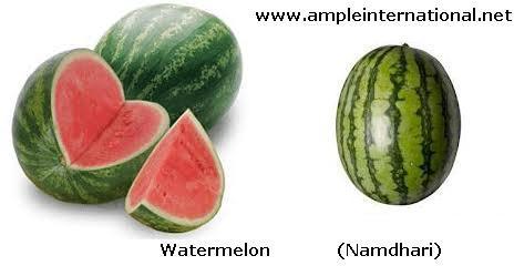 Watermelon