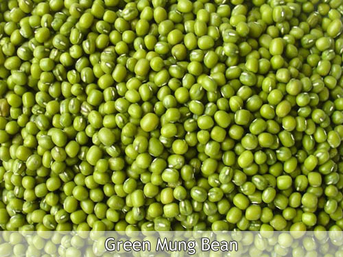Green mung beans
