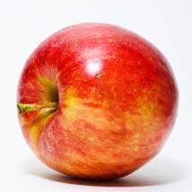 Organic Fresh Apples, Packaging Type : Foam Net