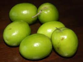 Fresh Jujube
