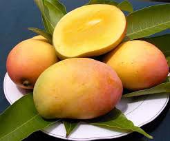 Organic Fresh Mango,fresh Mango, Packaging Type : Corrugated Box, Wooden Carton