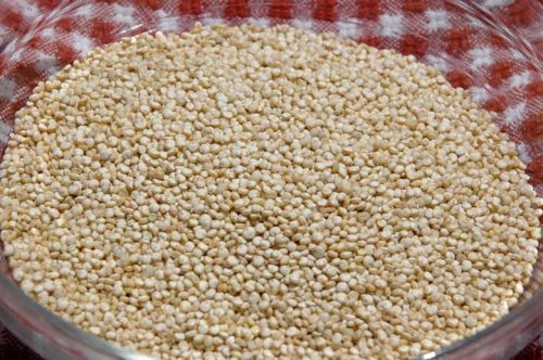 Quinoa grain