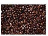 Coffee beans, Shelf Life : 1 Year