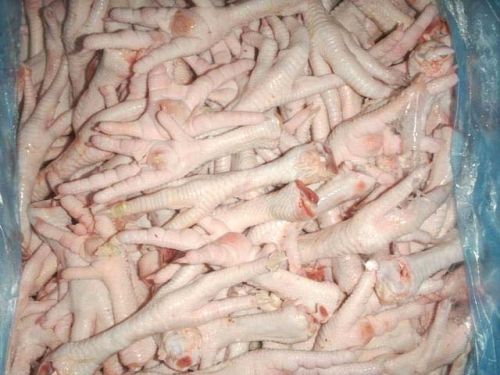 Frozen chicken feet, Condition : Fresh, Frozen