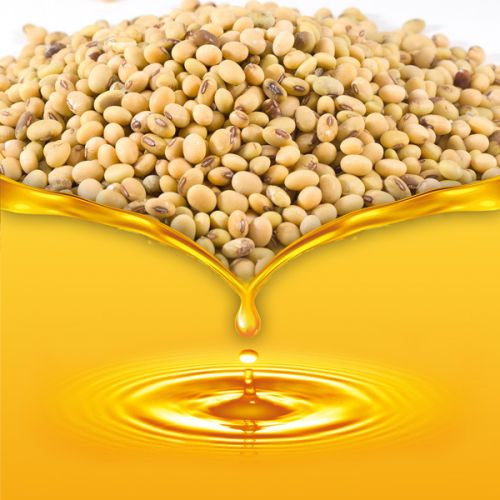 Crude Soybean Oil