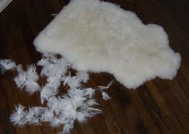 Sheep Skin