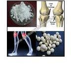 Methylsulfonylmethane and Glucosamine