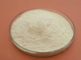 Protein Hydrolysate Powder