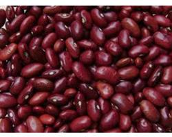 Red Rajma