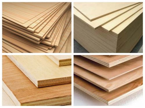 Century Green Plywood Sheets, Size : 19 Mm, 12mm, 9mm, 6 Mm