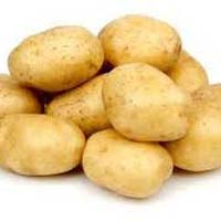 Fresh potato, Shelf Life : 3 Months