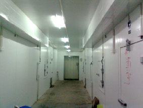 Puf Panels Cold Room