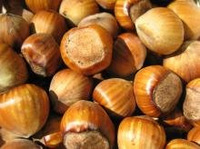 Hazelnuts