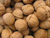 Fresh Walnut