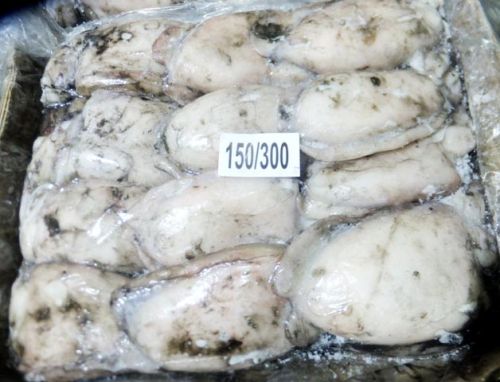 Frozen Cuttlefish Whole Uncleaned