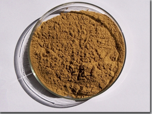 Irvingia Gabonensis Extract, Brand Name : TAS
