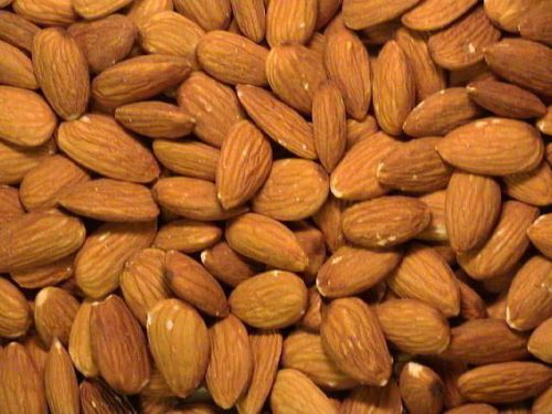Almond Kernels, Storage Condition : Dried