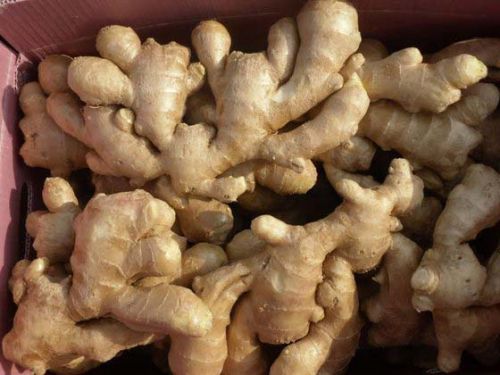 Dry ginger, Packaging Size : 25Kg