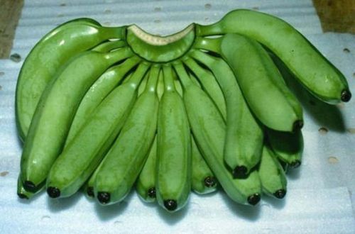 Fresh Cavendish Banana