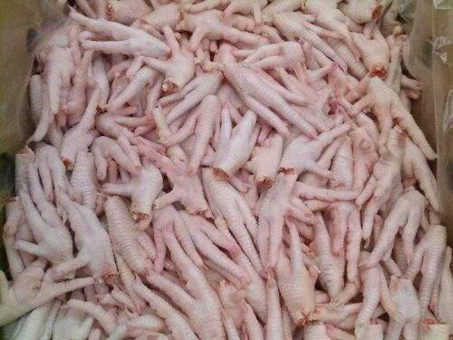 Frozen chicken feet, Packaging Type : Box, Carton, Plastic Bags