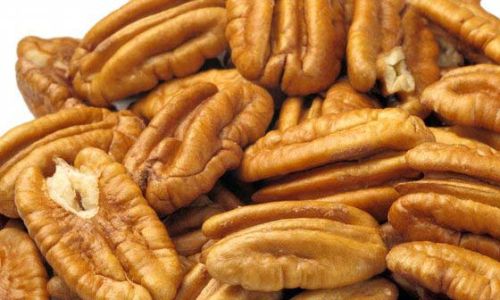 Pecan Nut, Brand Name : NN