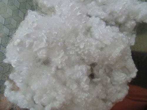Polyester Fiber