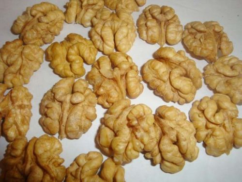 Walnuts Kerrnels,shell Walnuts, Packaging Type : 20kg Cartons