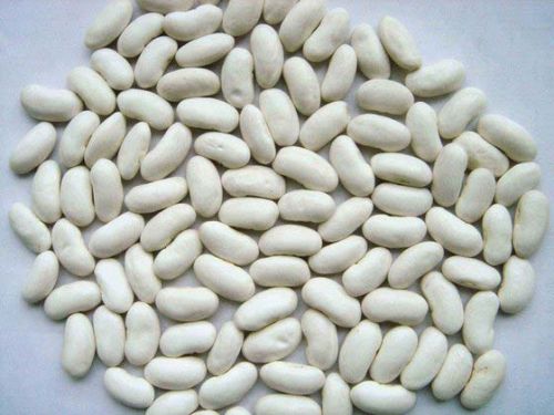 White kidney beans, Packaging Size : 20Kg