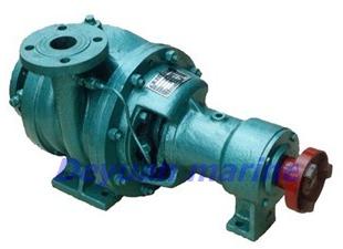 Water Sealing Pump