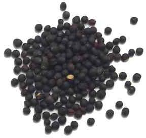 Mustard Seed Black