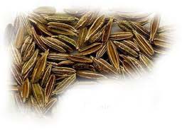 Cumin Seeds