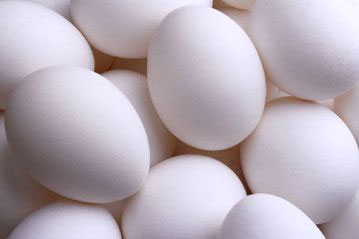 White poultry eggs